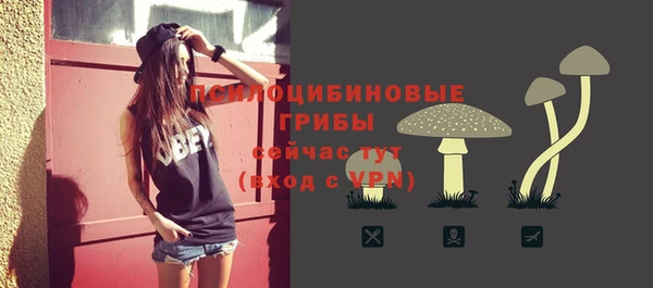 a pvp Абаза