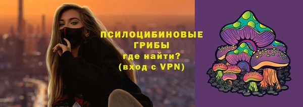 a pvp Абаза