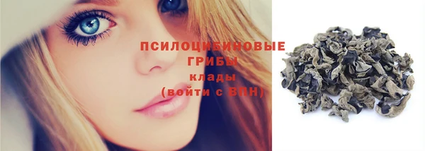 ПСИЛОЦИБИНОВЫЕ ГРИБЫ Осташков