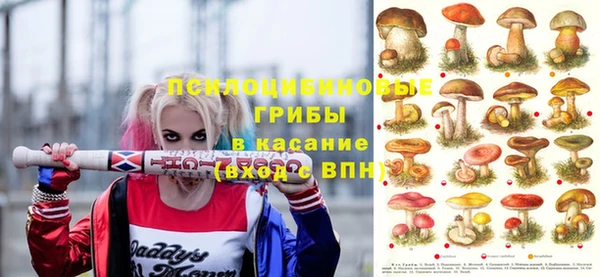 a pvp Абаза