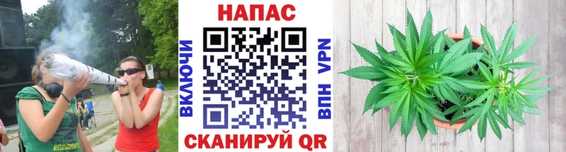 Конопля индика маркетплейс телеграм Новокубанск